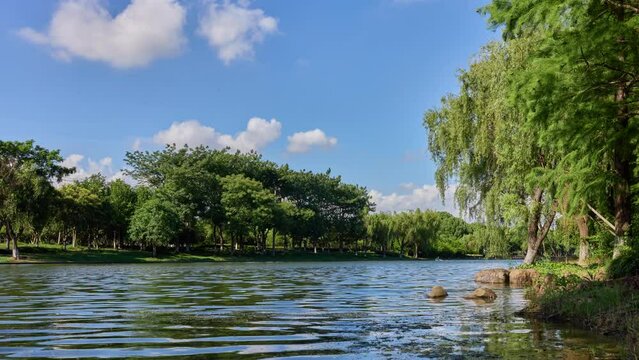 Tranquil scene of river in nature, time Lapse.