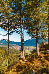 Alpine summer view at the famous Highline 179 suspension bridge and the Ehrenberg castle ruins near Reutte, Tyrol, Austria
