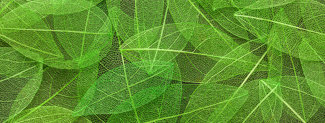 Background from artificial decorative green leaves, closeup. Leaf texture, nature plant fall backdrop.