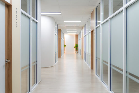 Empty modern office bright corridor with glass wall. Long white modern office hallway. No businesspeople. Many glass wall and doors. White bright empty workplace corridor background. Ornamented.