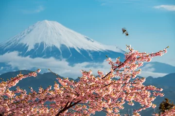 Fotobehang 桜と富士山 © F.T.