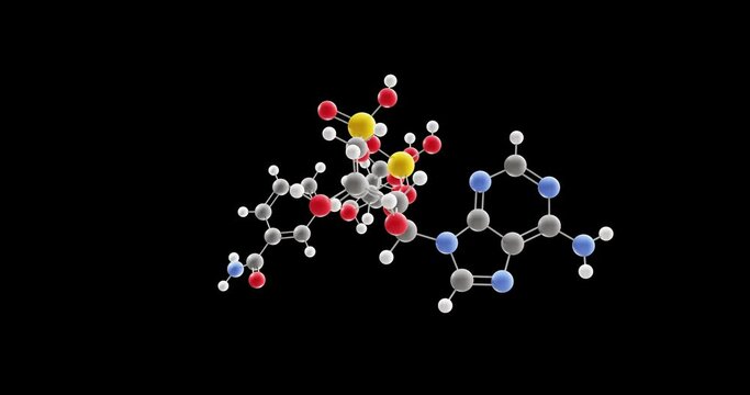 Nad+ molecule, rotating 3D model of oxidizing agent, looped video on a black background