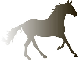 The horse is running. The horse is a slender, graceful animal, with highly developed muscles and a strong physique. Gradient