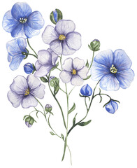 Watercolor meadow florals bouquet illustration, wildflowers clipart, field flowers composition