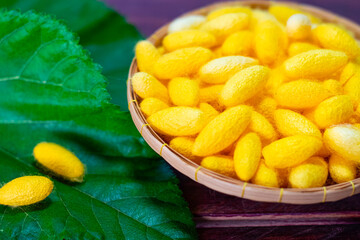 yellow silkworm cocoons shells, in the basket