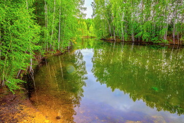 Fototapeta premium Forest lake on a summer day