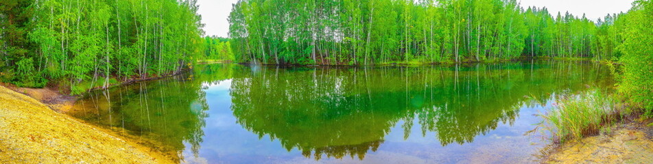 Forest lake on a summer day