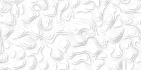 Abstract geometric layered curve line white background. 3d white papercut topography relief. Cover layout template. paper cut topography soft background banner texture. light liquid wave illustration.