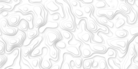 Abstract geometric layered curve line white background. 3d white papercut topography relief. Cover layout template. paper cut topography soft background banner texture. light liquid wave illustration.