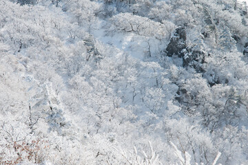 Fototapeta premium snow-covered mountain