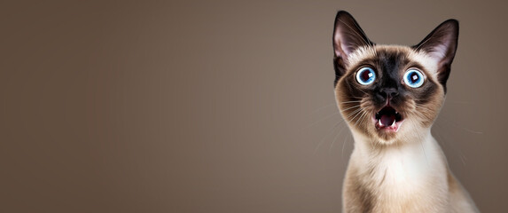 Funny portrait of a shocked cat with an open mouth on a color background. - Powered by Adobe