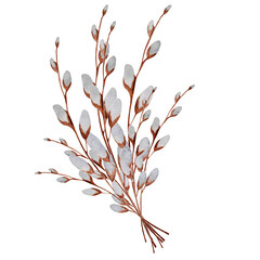 Watercolor willow branches in an Easter bouquet on an isolated white background. Decorative elegant elements for the design of cards, banners and invitations. Hand drawing. Spring blooming flowers