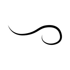 Swishes vector icon. Swashes illustration sign. Swoops symbol. Aroma logo.