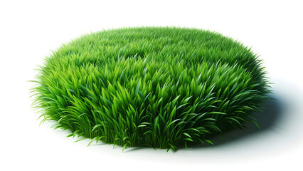 Fresh Green Grass Against a Pure White Canvas