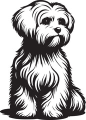 maltese dog silhouette ,maltese dog silhouette images ,maltese dog silhouette  png