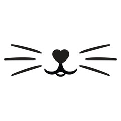 Cat pet mustache face mouth nose muzzle