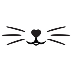 Cat pet mustache face mouth nose muzzle