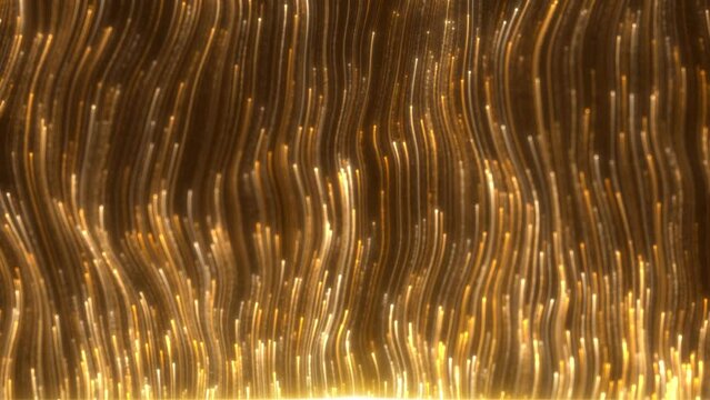 Luxury light stripes flow, golden particle lines flow, elegant wave lines rise. For your event, concert, music videos, video art, holiday show.