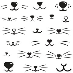 Cat pet mustache face mouth nose muzzle - obrazy, fototapety, plakaty