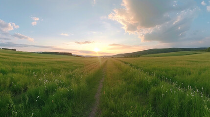 Fototapeta premium Sunset over field background. 
