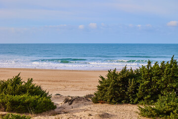 Fototapeta na wymiar Sand dunes overgrown with bushes against the backdrop of a deserted ocean beach.