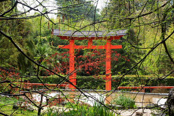 Decorative Japanese style gates in the park, Arboretum Sochi Russia. Background tree branches with young spring foliage in the rain. The landscape, tropical climate