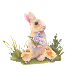 Watercolor little peach rabbit is sitting in the grass.. Easter bunny with bouquet flowers and yellow chicken. Template for designs , card, wallpaper