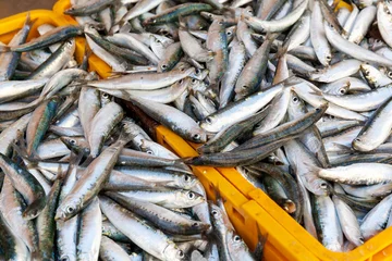 Deurstickers Zilverkleurige verse sardines is een vette vissoort en zijn een bron van omega 3 vetzuren. Goed voor de gezondheid. © ArieStormFotografie