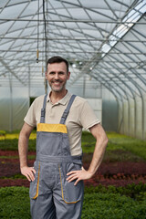 Portrait of male greenhouse plantation worker