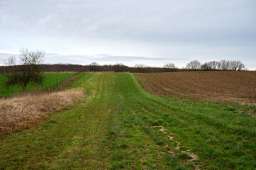 Green natural meadows and brown soil of farmland at the Flemish countryside around Bertem, Brabant, Belgium