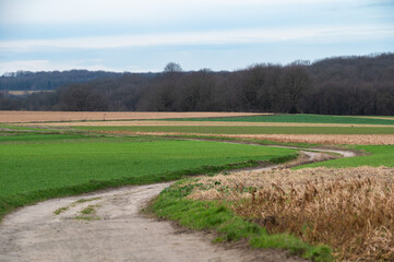 Harvested wheat fields and meadows at the Flemish countryside around Herent, Brabant, Belgium