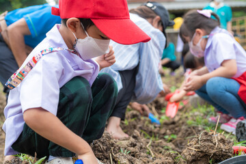 Kindergarten boy plantation seed on soil outdoor activity