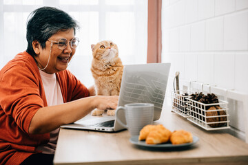 Fototapeta na wymiar In the morning, a woman and her elderly cat share a moment of togetherness at the desk, as she works on her laptop. Their bond is a heartwarming example of owner-pet companionship. pet love