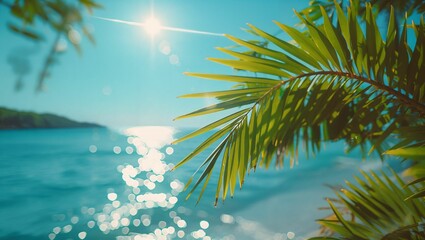 Obraz premium Close up of palm leaves with beautiful beach in background