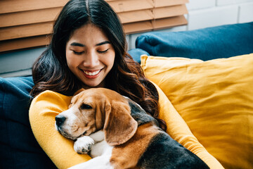 A portrait of happiness and bonding, a woman and her Beagle dog sleep together on the sofa in the...