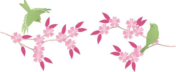 Obraz na płótnie Canvas 桜の枝にとまる鶯のイラスト