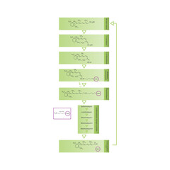 15-Z-Lycopene skeletal structure diagram.Caratenoid compound molecule scientific illustration on white background.