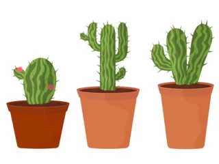 Foto auf Alu-Dibond Kaktus im Topf set of cacti on a white background, collection of home plants in pots