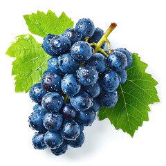 Grape with water drops isolated on white background. Bunch of ripe blue grapes with leaves....