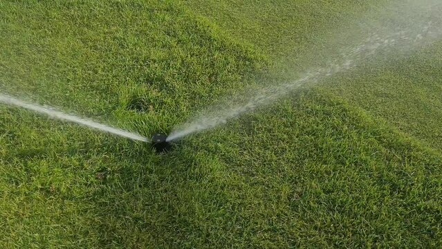 Automatic watering sprinkler care for green lawn and grass