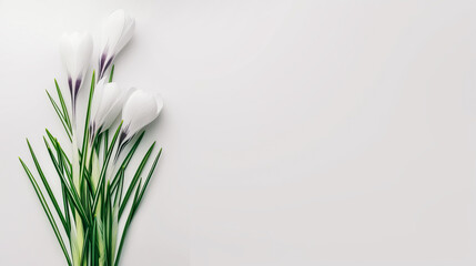 bouquet of snowdrops on a white background.copy space