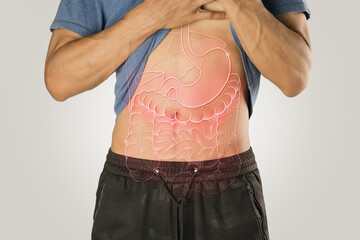 Internal organ illustration on the male body against a light gray background.