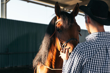 Man taking care of his brown horse in an equestrian center - obrazy, fototapety, plakaty