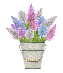 Naklejka na ściany i meble Bouquet of hyacinths.Flower arrangement in a vintage metal bucket on a white background. Watercolor hand drawn botanical illustration. Spring garden flowers. flower shop