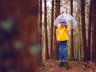 Teenager girl in yellow jacket, blue jeans and translucent umbrella standing on a tree trunk in a dense forest. Tree trunk out of focus in front. Tourism to nature. Selective focus. Outdoor activity.