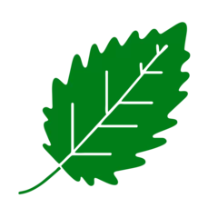 Gordijnen Leaf, Green leaf icon, symbolizing nature, growth, and sustainability, in a simple and elegant design, Leaf, plant icon © CraftyAI Creations