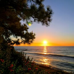 Fototapeta na wymiar ocean sunset through trees