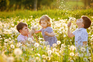 Two kids boys and little baby girl blowing on a dandelion flowers on the nature in the summer....