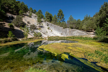 Natural Monument of La Fuentona, source of the river Abión, Muriel de la Fuente, Soria, Autonomous Community of Castile, Spain, Europe