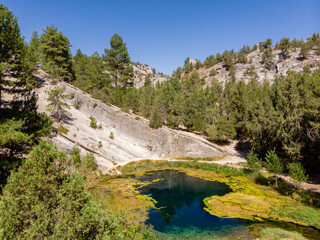 Natural Monument of La Fuentona, source of the river Abión, Muriel de la Fuente, Soria, Autonomous...
